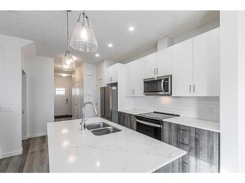 506-137 Red Embers Link, Calgary, AB - Indoor Photo Showing Kitchen With Double Sink With Upgraded Kitchen