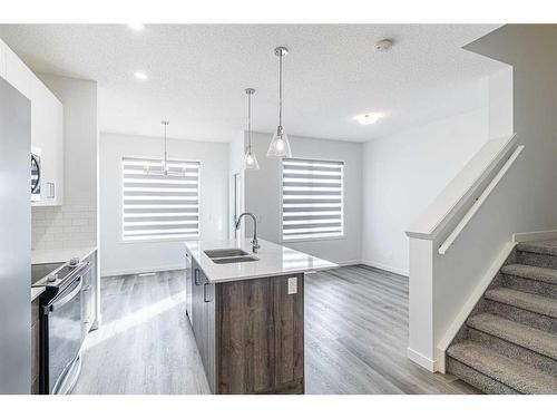 506-137 Red Embers Link, Calgary, AB - Indoor Photo Showing Kitchen With Double Sink With Upgraded Kitchen