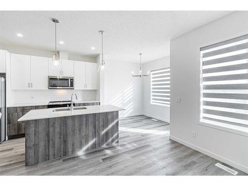 506-137 Red Embers Link, Calgary, AB - Indoor Photo Showing Kitchen With Double Sink With Upgraded Kitchen