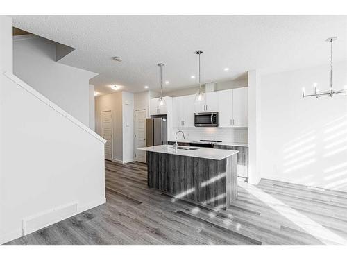 506-137 Red Embers Link, Calgary, AB - Indoor Photo Showing Kitchen With Upgraded Kitchen