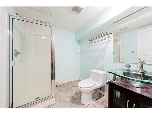 366 Saddlebrook Way Ne, Calgary, AB - Indoor Photo Showing Bathroom