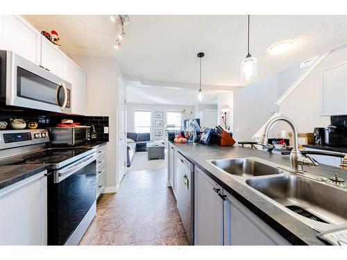 366 Saddlebrook Way Ne, Calgary, AB - Indoor Photo Showing Kitchen With Double Sink