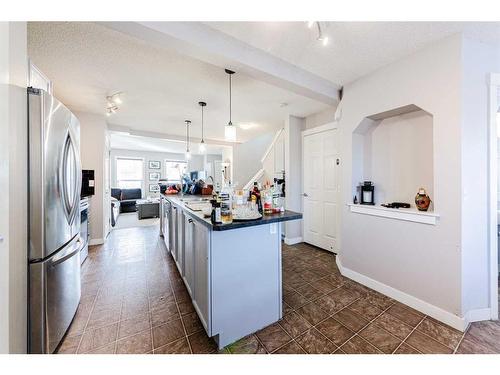 366 Saddlebrook Way Ne, Calgary, AB - Indoor Photo Showing Kitchen With Stainless Steel Kitchen With Upgraded Kitchen