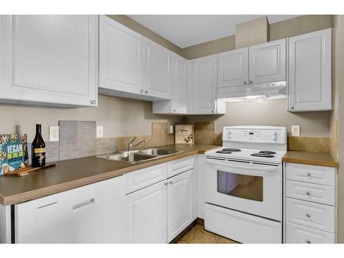 311-1715 35 Street Se, Calgary, AB - Indoor Photo Showing Kitchen With Double Sink