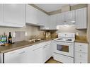 311-1715 35 Street Se, Calgary, AB  - Indoor Photo Showing Kitchen With Double Sink 