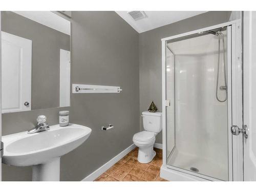 311-1715 35 Street Se, Calgary, AB - Indoor Photo Showing Bathroom