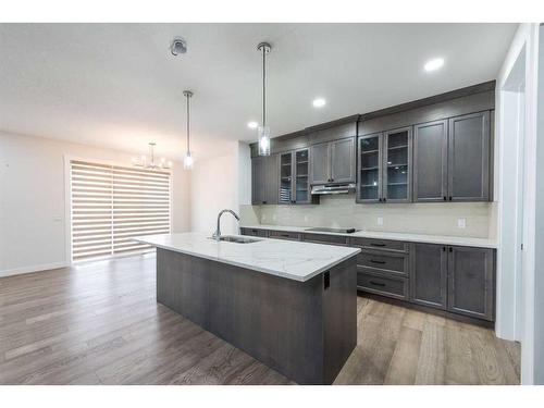 907 Corner Meadows Way Ne, Calgary, AB - Indoor Photo Showing Kitchen With Upgraded Kitchen