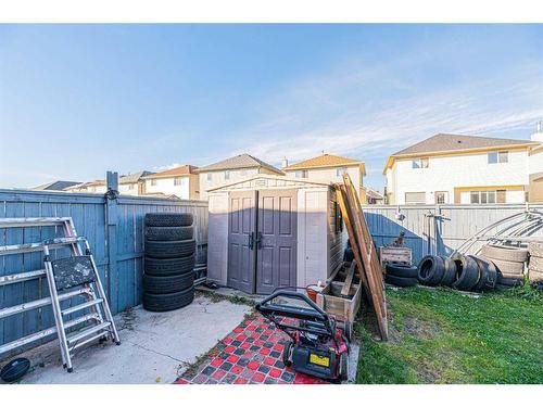 6248 Taralea Park Ne, Calgary, AB - Outdoor