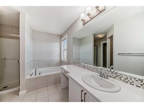 48 Nolanhurst Crescent Nw, Calgary, AB - Indoor Photo Showing Bathroom