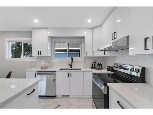 179 Flavelle Road Se, Calgary, AB - Indoor Photo Showing Kitchen With Stainless Steel Kitchen With Double Sink With Upgraded Kitchen