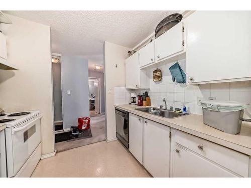 304-1512 16 Avenue Sw, Calgary, AB - Indoor Photo Showing Kitchen With Double Sink