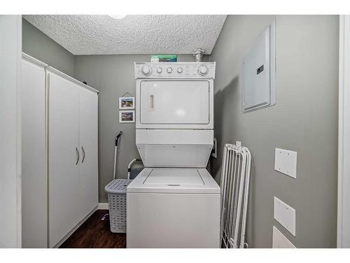 307-270 Shawville Way Se, Calgary, AB - Indoor Photo Showing Laundry Room