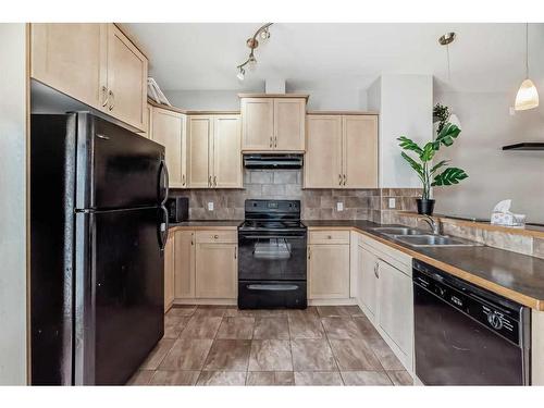 3104-111 Tarawood Lane Ne, Calgary, AB - Indoor Photo Showing Kitchen With Double Sink