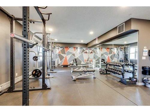 205-1414 17 Street Se, Calgary, AB - Indoor Photo Showing Gym Room