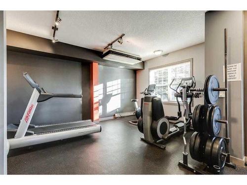 205-1414 17 Street Se, Calgary, AB - Indoor Photo Showing Gym Room