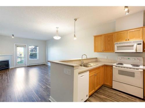 205-1414 17 Street Se, Calgary, AB - Indoor Photo Showing Kitchen With Double Sink