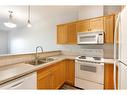 205-1414 17 Street Se, Calgary, AB  - Indoor Photo Showing Kitchen With Double Sink 