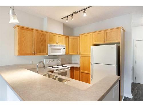 205-1414 17 Street Se, Calgary, AB - Indoor Photo Showing Kitchen With Double Sink