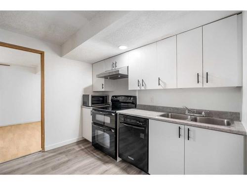 39 Bermuda Drive Nw, Calgary, AB - Indoor Photo Showing Kitchen With Double Sink