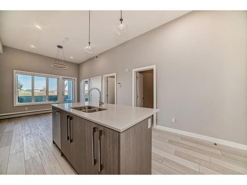 3119-60 Skyview Ranch Road Ne, Calgary, AB - Indoor Photo Showing Kitchen With Double Sink