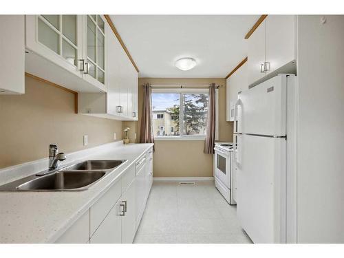 157-2211 19 Street Ne, Calgary, AB - Indoor Photo Showing Kitchen With Double Sink