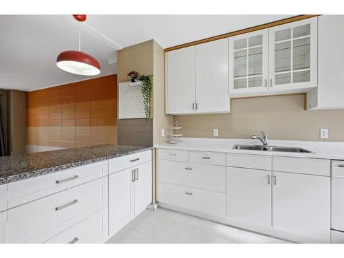 157-2211 19 Street Ne, Calgary, AB - Indoor Photo Showing Kitchen With Double Sink