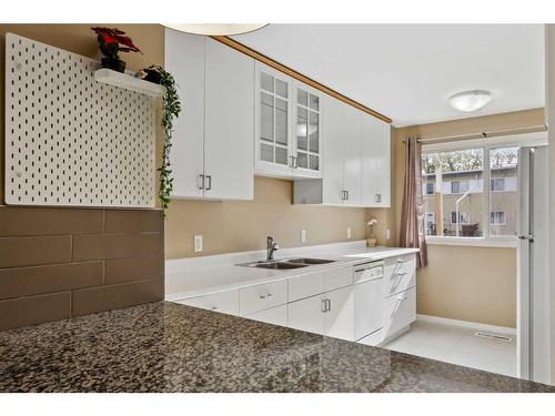 157-2211 19 Street Ne, Calgary, AB - Indoor Photo Showing Kitchen With Double Sink