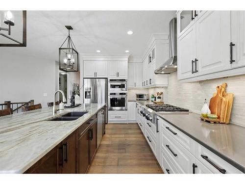 87 Cranbrook Way Se, Calgary, AB - Indoor Photo Showing Kitchen With Stainless Steel Kitchen With Double Sink With Upgraded Kitchen