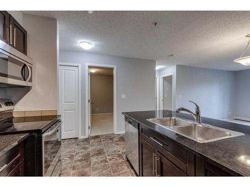 2310-1317 27 Street Se, Calgary, AB - Indoor Photo Showing Kitchen With Double Sink