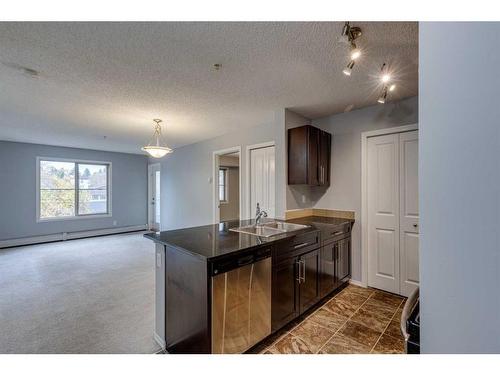 2310-1317 27 Street Se, Calgary, AB - Indoor Photo Showing Kitchen With Double Sink