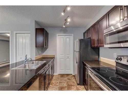 2310-1317 27 Street Se, Calgary, AB - Indoor Photo Showing Kitchen With Double Sink