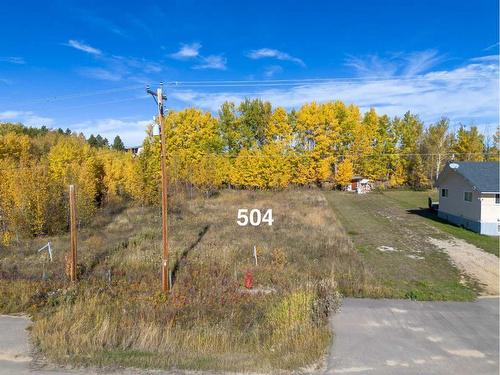 502 5 Avenue East, Winfield, AB 