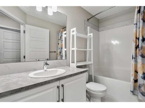 110-32 Red Embers Parade Ne, Calgary, AB - Indoor Photo Showing Bathroom