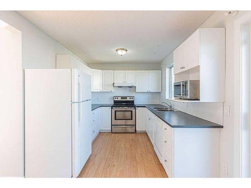 10 Martindale Mews Ne, Calgary, AB - Indoor Photo Showing Kitchen