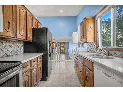 220 Templewood Road Ne, Calgary, AB - Indoor Photo Showing Kitchen With Double Sink