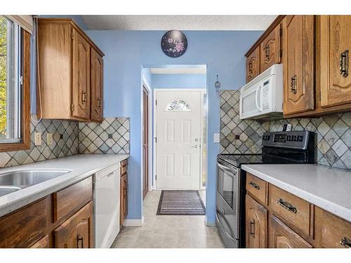 220 Templewood Road Ne, Calgary, AB - Indoor Photo Showing Kitchen With Double Sink