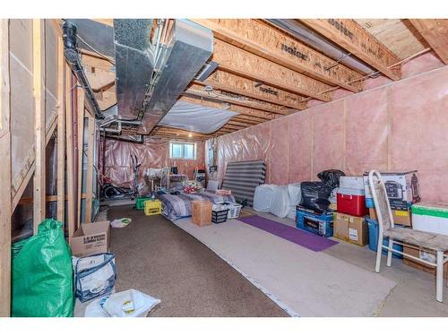 117 Rainbow Falls Manor, Chestermere, AB - Indoor Photo Showing Basement