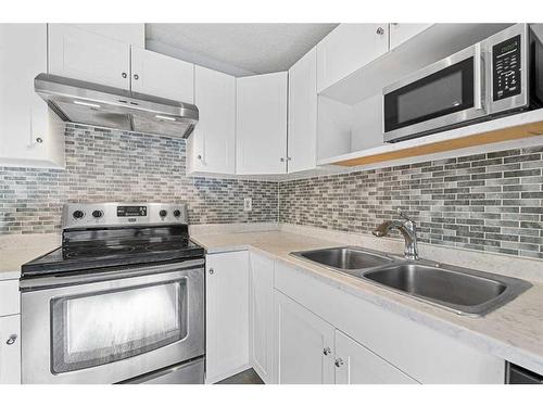 217 Pinestream Place Ne, Calgary, AB - Indoor Photo Showing Kitchen With Stainless Steel Kitchen With Double Sink With Upgraded Kitchen