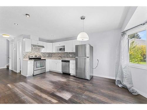 217 Pinestream Place Ne, Calgary, AB - Indoor Photo Showing Kitchen With Stainless Steel Kitchen With Upgraded Kitchen