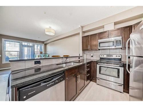 104-22 Panatella Road Nw, Calgary, AB - Indoor Photo Showing Kitchen With Double Sink