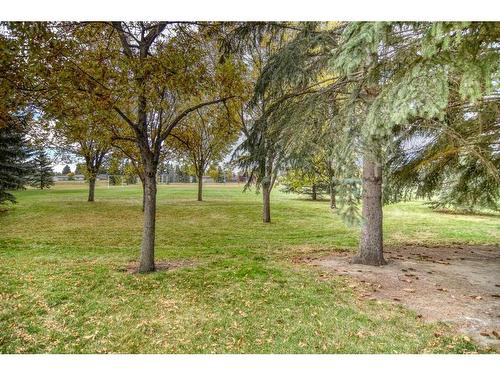 2747 Dovely Park Se, Calgary, AB - Outdoor With View