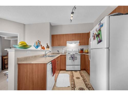 1315-1140 Taradale Drive Ne, Calgary, AB - Indoor Photo Showing Kitchen With Double Sink