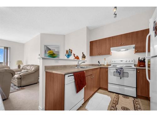 1315-1140 Taradale Drive Ne, Calgary, AB - Indoor Photo Showing Kitchen With Double Sink