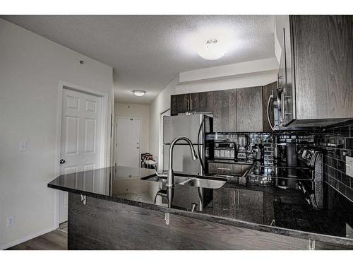 504-325 3 Street Se, Calgary, AB - Indoor Photo Showing Kitchen