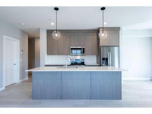 2309-60 Skyview Ranch Road Ne, Calgary, AB - Indoor Photo Showing Kitchen With Stainless Steel Kitchen With Double Sink With Upgraded Kitchen