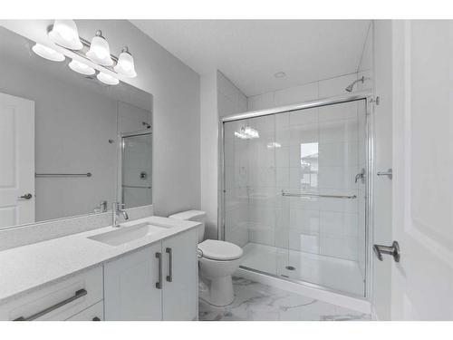 114 Corner Meadows ,Ne Square, Calgary, AB - Indoor Photo Showing Bathroom