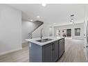 114 Corner Meadows ,Ne Square, Calgary, AB  - Indoor Photo Showing Kitchen With Double Sink 