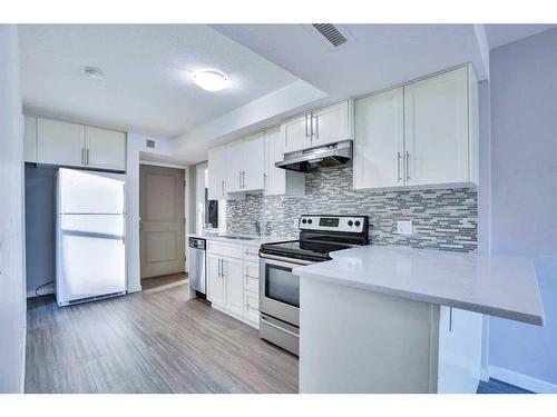 201-1820 9 Street Sw, Calgary, AB - Indoor Photo Showing Kitchen With Upgraded Kitchen