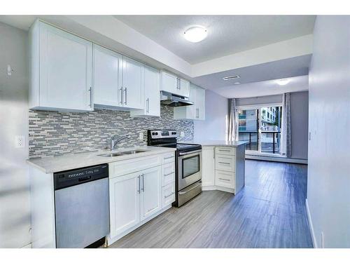 201-1820 9 Street Sw, Calgary, AB - Indoor Photo Showing Kitchen With Stainless Steel Kitchen With Double Sink With Upgraded Kitchen