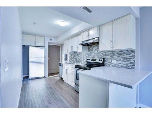 201-1820 9 Street Sw, Calgary, AB - Indoor Photo Showing Kitchen With Upgraded Kitchen